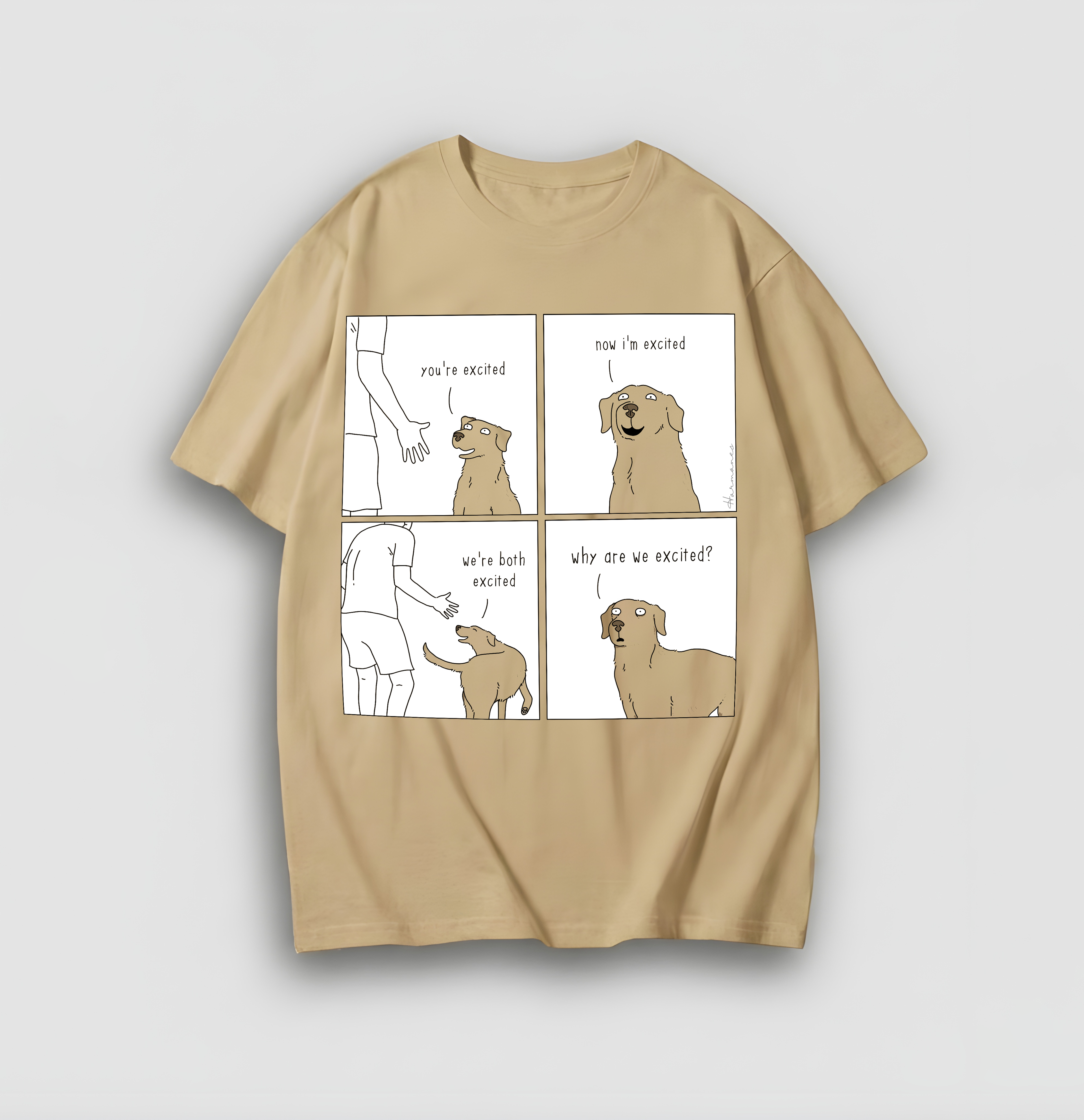 Wait... Why Are We Excited? - Oversized Tshirt