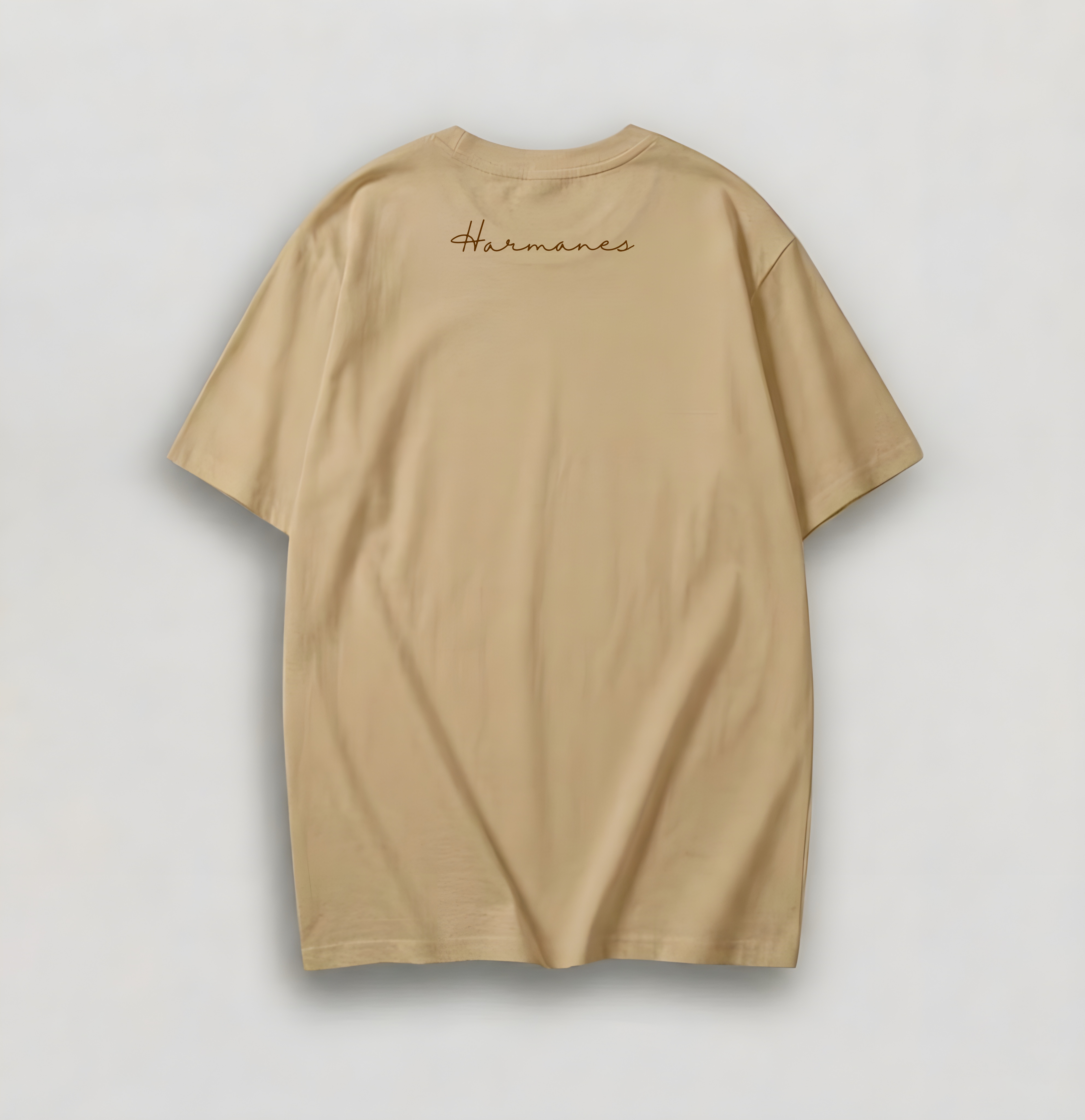 Wait... Why Are We Excited? - Oversized Tshirt